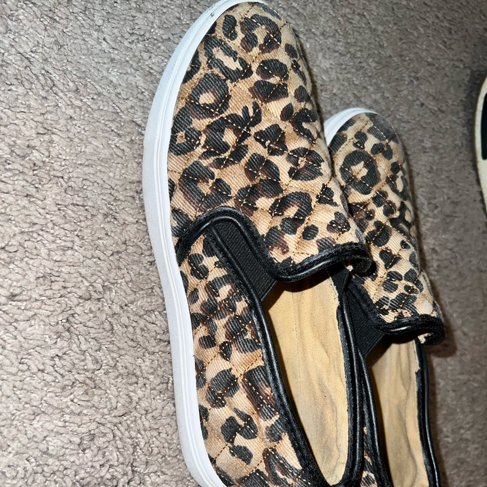Steve Madden Shoes